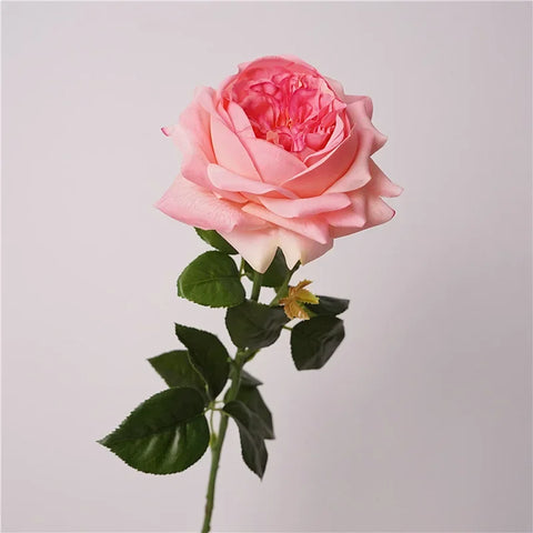 5Pcs Feel Moist Austin Latex Rose Real Touch Artificial Flowers Luxury Home Decoration Party Event Wedding Roses Floral Bouquet