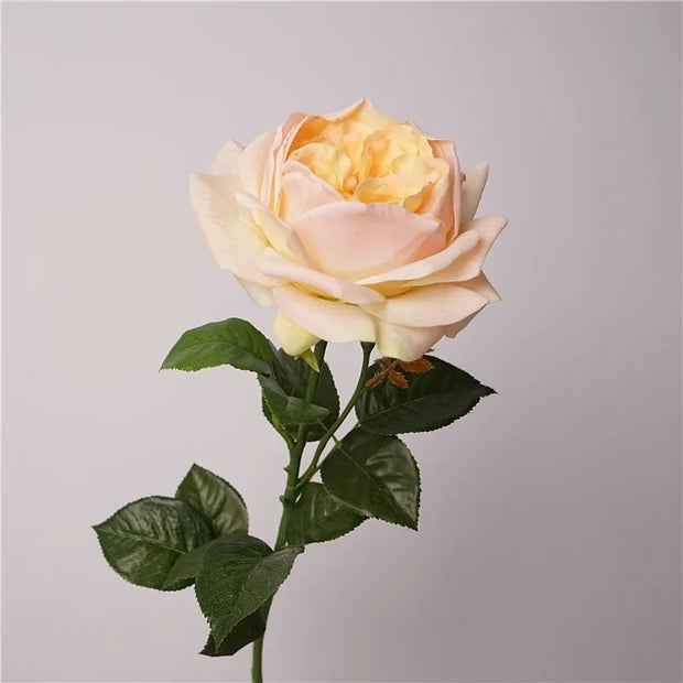 5Pcs Feel Moist Austin Latex Rose Real Touch Artificial Flowers Luxury Home Decoration Party Event Wedding Roses Floral Bouquet