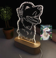 Dropshipp Personalized 3D Photo Lamp Engraving Base Custom Valentine's Day Anniversary Birthday Christmas 3D Night Lights Gifts