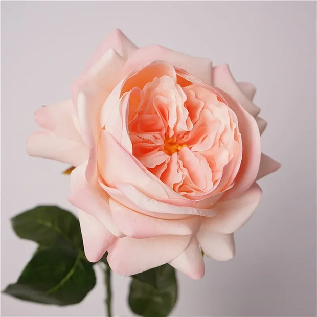 5Pcs Feel Moist Austin Latex Rose Real Touch Artificial Flowers Luxury Home Decoration Party Event Wedding Roses Floral Bouquet