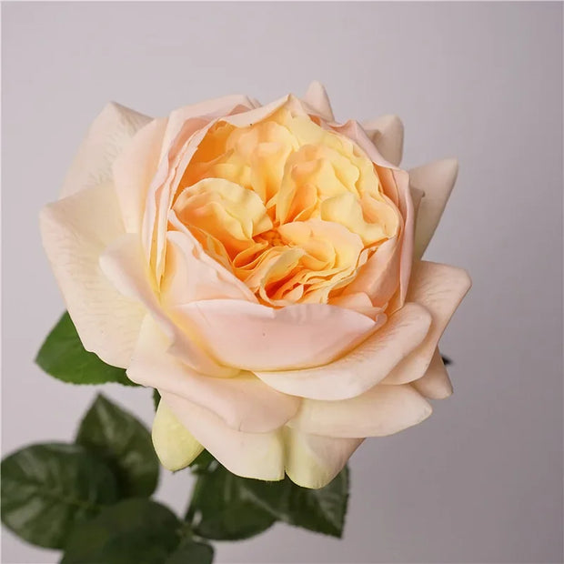 5Pcs Feel Moist Austin Latex Rose Real Touch Artificial Flowers Luxury Home Decoration Party Event Wedding Roses Floral Bouquet